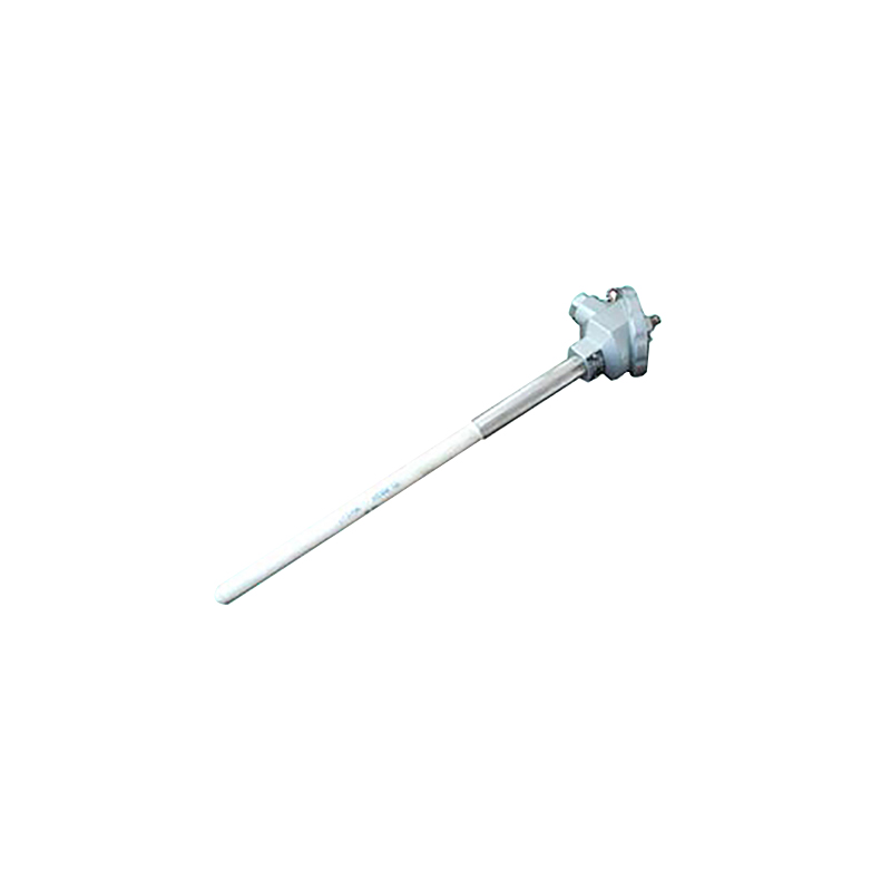 廈門品牌電子溫控儀批發
